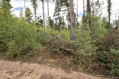 Lot 2614 Petito Drive, Fort Garland, CO 81133 - Photo 5