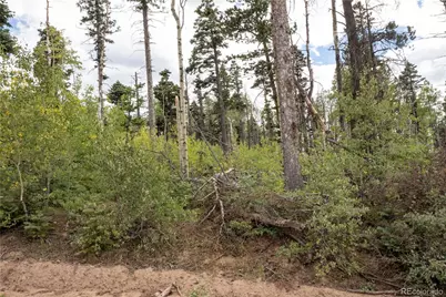 Lot 2614 Petito Drive, Fort Garland, CO 81133 - Photo 7