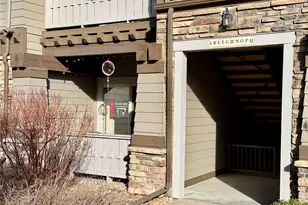 16611 Las Ramblas Ln, Parker, CO 80134 - Photo 23