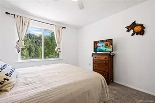1729 Crow Valley Rd, Bailey, CO 80421 - Photo 35