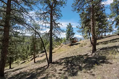 1729 Crow Valley Road, Bailey, CO 80421 - Photo 11