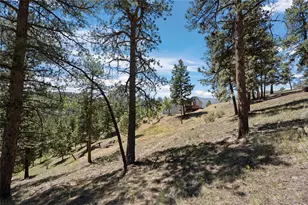 1729 Crow Valley Rd, Bailey, CO 80421 - Photo 11