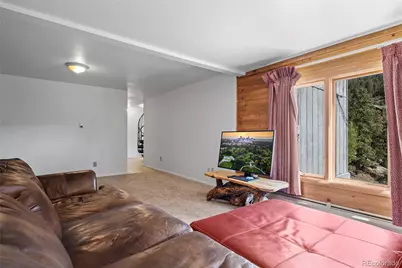 1729 Crow Valley Road, Bailey, CO 80421 - Photo 39