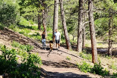 3600 Doubletrack Lane, Castle Rock, CO 80108 - Photo 41