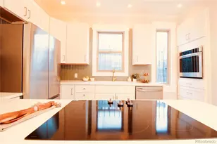 1544 N Downing St, Denver, CO 80218 - Photo 13