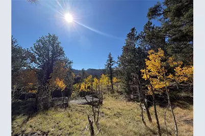 184 Spruce Drive, Guffey, CO 80820 - Photo 5