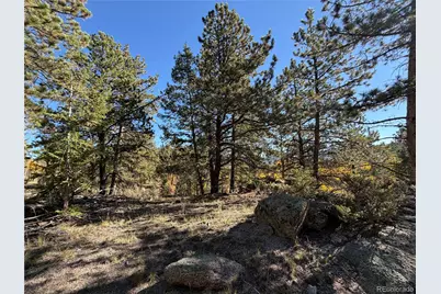 184 Spruce Drive, Guffey, CO 80820 - Photo 19