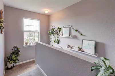 1458 Nemrick Place, Castle Rock, CO 80109 - Photo 15