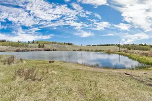 36 Wild Rye Rd, Fairplay, CO 80440 - Photo 47