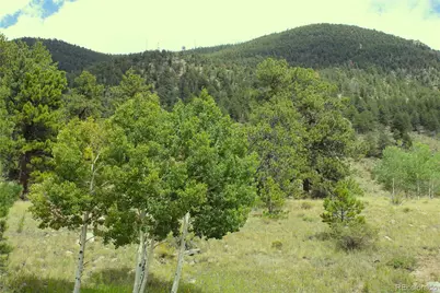 Hwy 24, Hartsel, CO 80827 - Photo 1