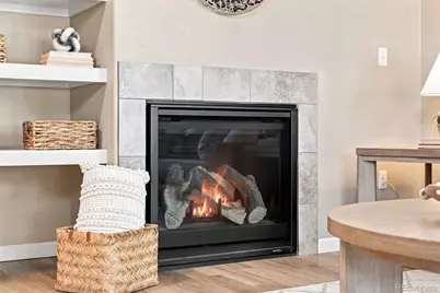 10046 Strathfield Lane, Littleton, CO 80126 - Photo 21
