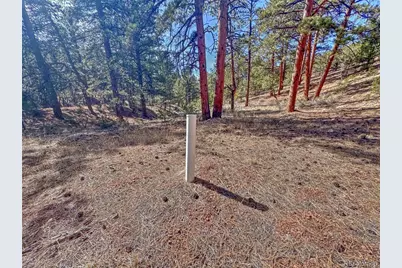 426 Arapaho Road, Westcliffe, CO 81252 - Photo 9