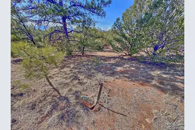 426 Arapaho Road, Westcliffe, CO 81252 - Photo 3