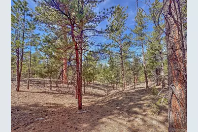 426 Arapaho Road, Westcliffe, CO 81252 - Photo 17