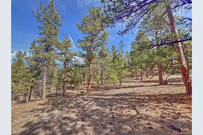 426 Arapaho Road, Westcliffe, CO 81252 - Photo 19