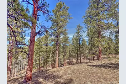 426 Arapaho Road, Westcliffe, CO 81252 - Photo 13