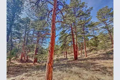 426 Arapaho Road, Westcliffe, CO 81252 - Photo 21