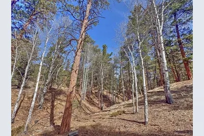426 Arapaho Road, Westcliffe, CO 81252 - Photo 23