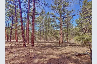 426 Arapaho Road, Westcliffe, CO 81252 - Photo 15