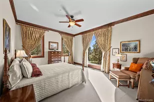 1053 Night Sky Ct, Castle Rock, CO 80108 - Photo 25