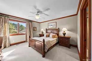 1053 Night Sky Ct, Castle Rock, CO 80108 - Photo 41