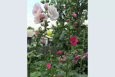 231 Hoover Avenue, Louisville, CO 80027 - Photo 37