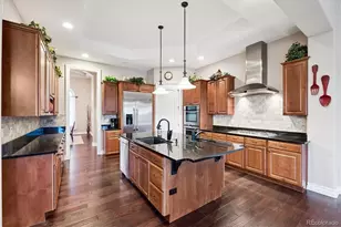 7372 Talon Trail, Parker, CO 80138 - Photo 7