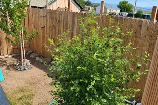 312 Ceratosaurus Cir, Dinosaur, CO 81610 - Photo 7