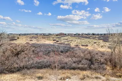 11585 Tyrolite Lane, Parker, CO 80138 - Photo 45