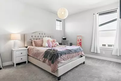 11585 Tyrolite Lane, Parker, CO 80138 - Photo 19