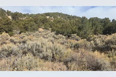 Lot 1628 Hidalgo Road, San Luis, CO 81152 - Photo 3