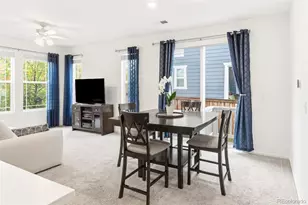 14047 Rock Daisy St, Parker, CO 80134 - Photo 7