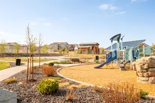 14047 Rock Daisy St, Parker, CO 80134 - Photo 33