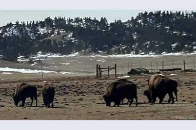 0 Tbd Chicha Road, Hartsel, CO 80449 - Photo 5