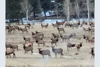 0 Tbd Chicha Road, Hartsel, CO 80449 - Photo 15