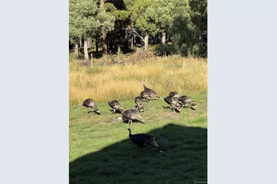 234 Bremer Road, Howard, CO 81233 - Photo 47