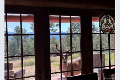 234 Bremer Road, Howard, CO 81233 - Photo 49