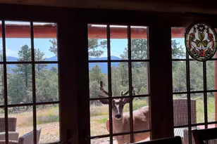 234 Bremer Rd, Howard, CO 81233 - Photo 49