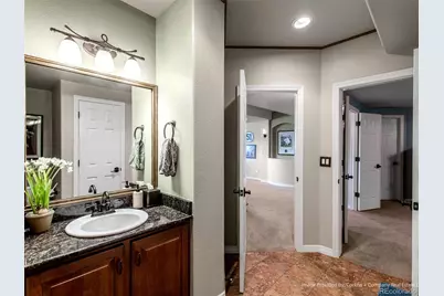8435 Green Island Circle, Lone Tree, CO 80124 - Photo 31