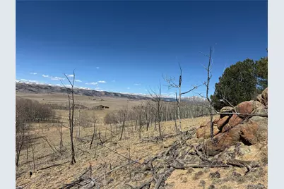 615 Caracara Lane, Jefferson, CO 80456 - Photo 15