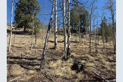 615 Caracara Lane, Jefferson, CO 80456 - Photo 7