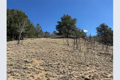615 Caracara Lane, Jefferson, CO 80456 - Photo 23
