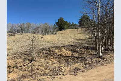 615 Caracara Lane, Jefferson, CO 80456 - Photo 29