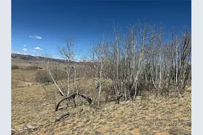 615 Caracara Lane, Jefferson, CO 80456 - Photo 21
