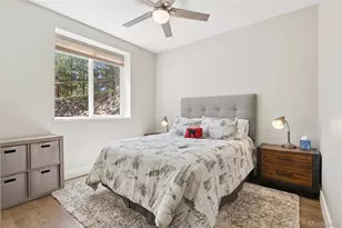 30319 Lone Spruce Rd, Evergreen, CO 80439 - Photo 23