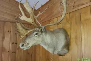 35 Spruce Dr, Lyons, CO 80540 - Photo 7