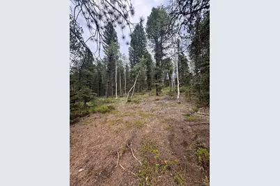 111 Elk Creek Drive, Divide, CO 80814 - Photo 1