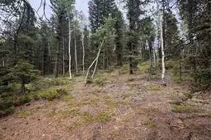 111 Elk Creek Dr, Divide, CO 80814 - Photo 1