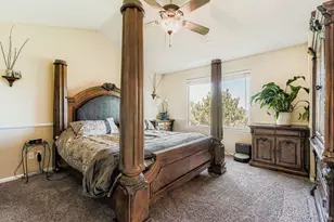 282 Tall Spruce Cir, Brighton, CO 80601 - Photo 11