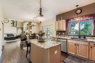 282 Tall Spruce Cir, Brighton, CO 80601 - Photo 9